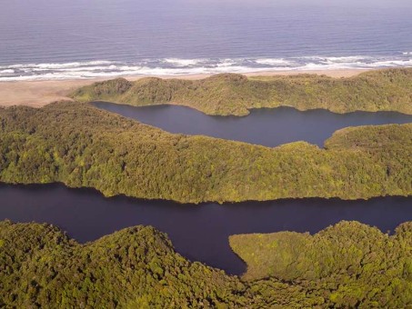 Reserva Costera Valdiviana